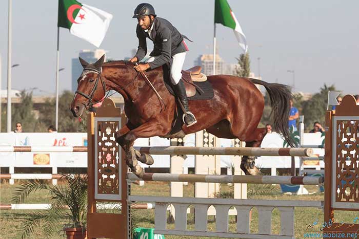 Federation-equestre-Algerienne Fédération Équestre Algérienne