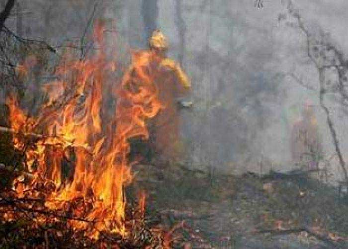 Incendies à travers le pays : les révélations du procureur de Cherchell