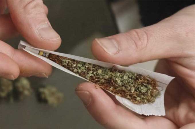 (Vidéo) La traque des narcotrafiquants marocains en Espagne
