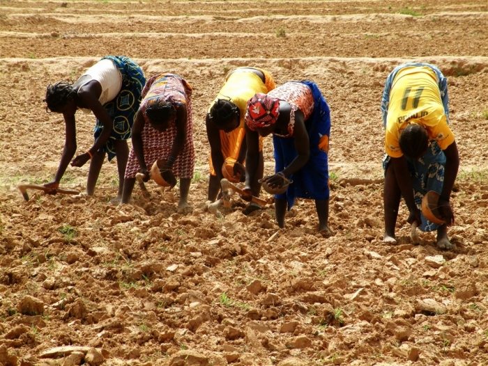 Sécurité alimentaire