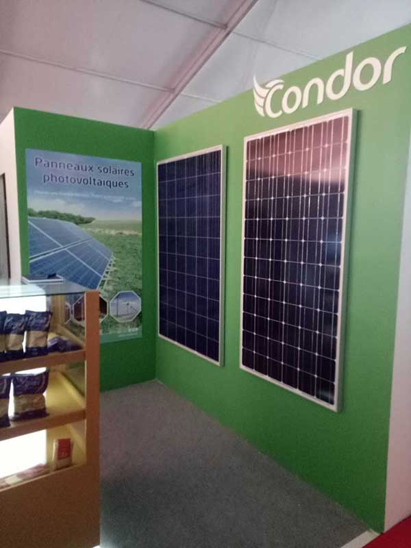 condor production algérienne