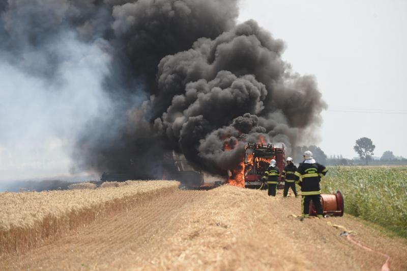 Incendie champs de blé