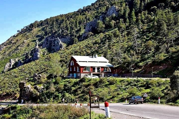 Tikjda1