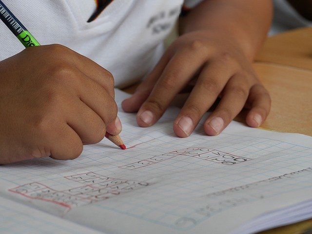 i-am-a-student-1412778_640 Education: enquête sur les écoles privées