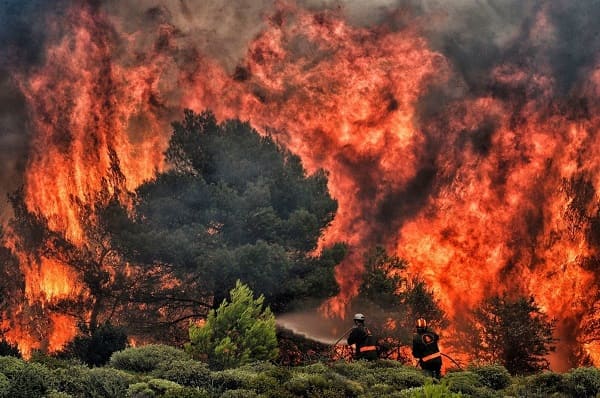 Tikjda Tikjda: 200 ha de couvert végétal ravagés par le feu