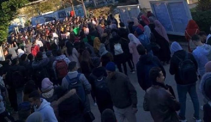 inh Boumerdès : Les étudiants de l’ex-INH protestent contre leur marginalisation en matière d’emploi