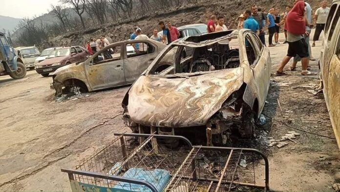 incendies (1) Feux de forêt : hausse du bilan des victimes à 34 martyrs