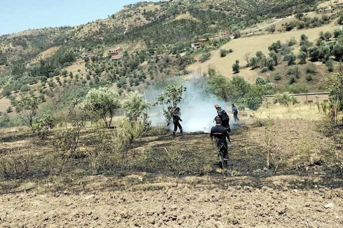 incendies tizi Tizi-Ouzou : 15 foyers d'incendies maitrisés