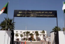 AAPI : Plus de 7600 projets pour la substitution aux importations