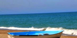 Alger : une tentative de migration clandestine déjouée et 11 individus arrêtés