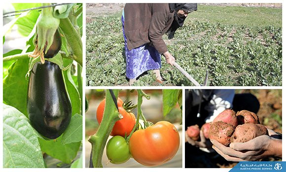 agriculture