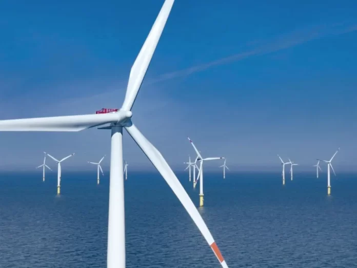 Des perspectives prometteuses pour l'éolien offshore en Algérie