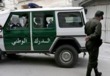 Cocaïne, kif et Ecstasy : un vaste réseau de trafiquants démantelé à Batna