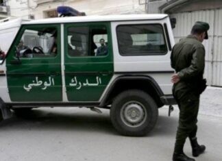 Cocaïne, kif et Ecstasy : un vaste réseau de trafiquants démantelé à Batna