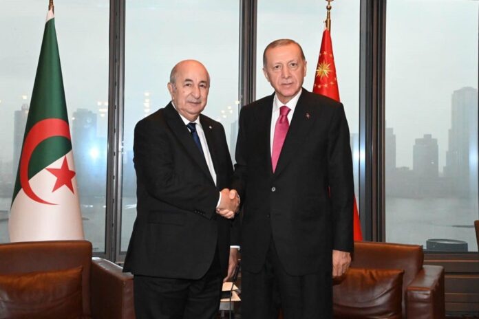 Tebboune-Erdogan