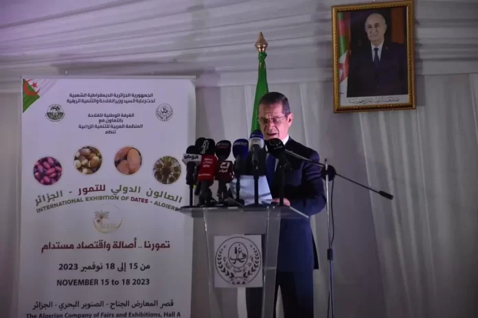 Henni annonce un programme pour la plantation d'un million de palmiers