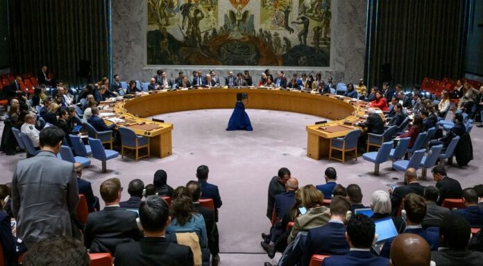 conseil-de-sécurité-onu