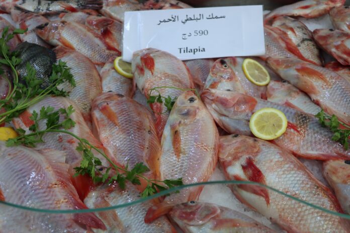 produits-pêche