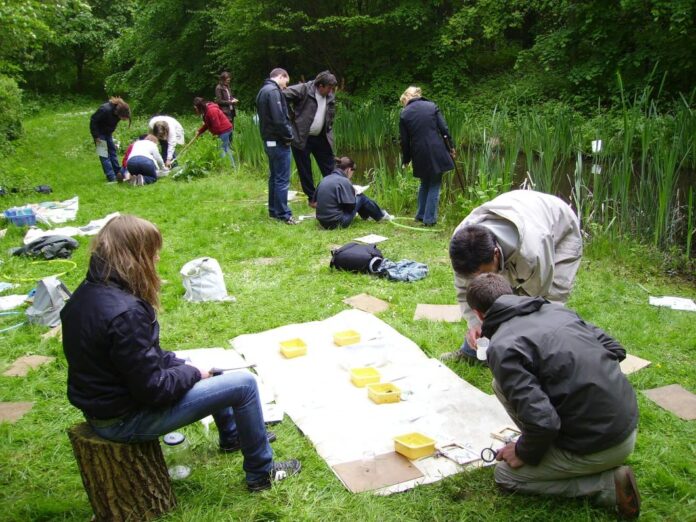 formation-porteurs-projets-environnement