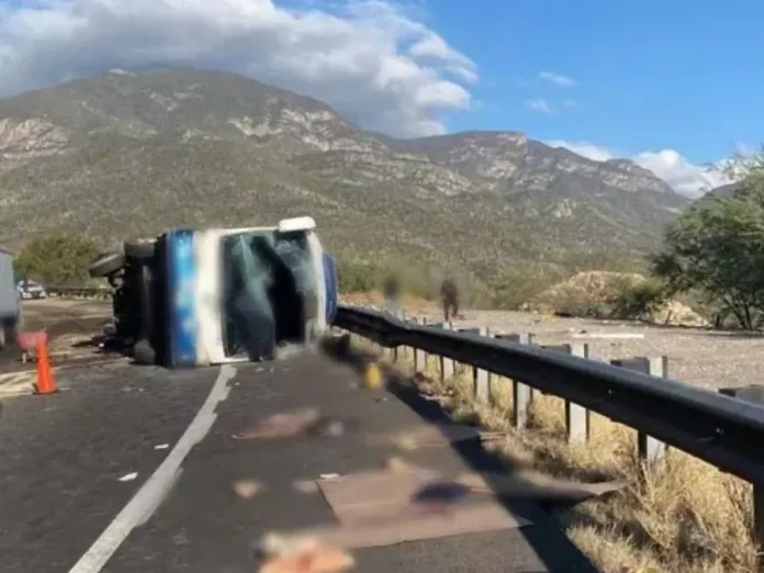 bus_accident