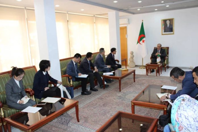 Sifi-Ghrieb-CSCEC-Cimenterie-Djelfa