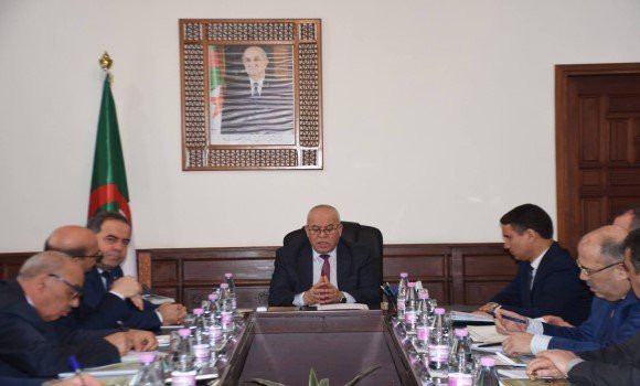 youcef-cherfa-reunion-importation-moutons-aïd