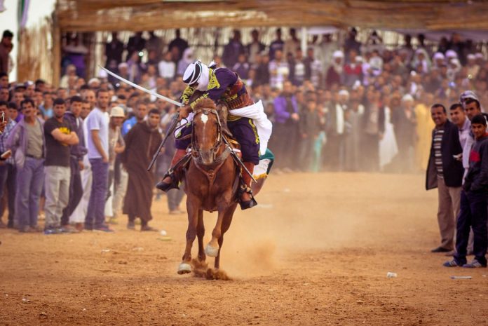cheval-barbe-spectacle-fantazia-algérie