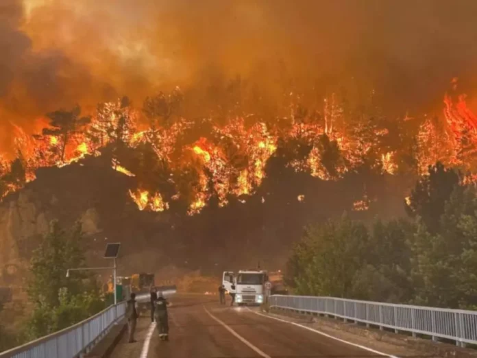 incendie-turquie