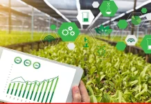 SIPSA-FILAHA : 7 projets innovants primés au concours de l’innovation agricole « Africa Sipsa-Innov »