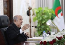 Sommet du G20 : Tebboune appelle à fédérer les efforts pour relever les défis politiques et économiques dans le monde