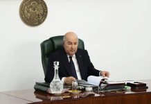 Le président Tebboune ordonne l’ouverture d’une enquête sur les feux de forêt ayant touché plusieurs wilayas