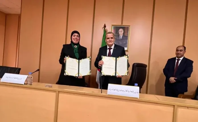 Plateforme-Numérique-Importateurs