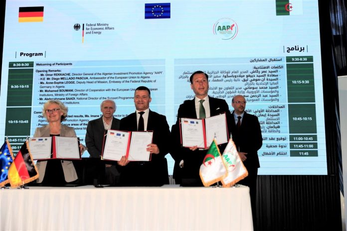 Programme-Jumelage-AAPI-Minisère-Allemand-Affaires-Economiques-Et-Energie1