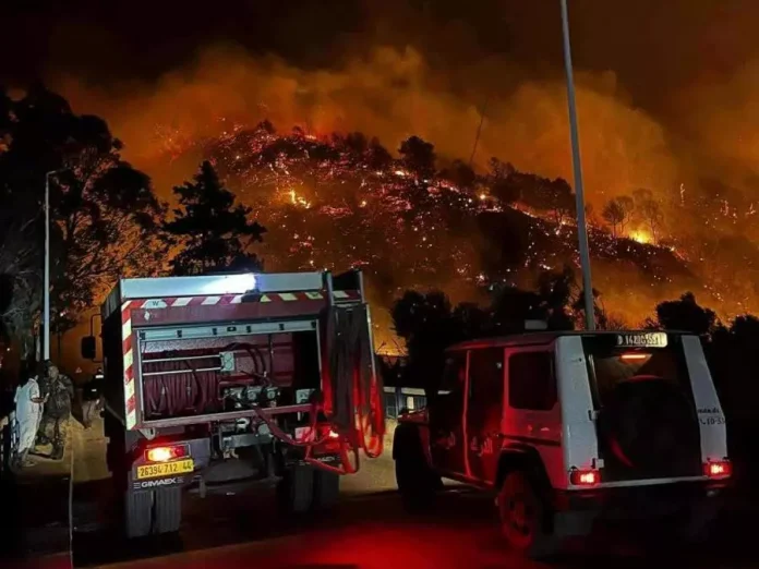 feux-de-foret-tipaza01