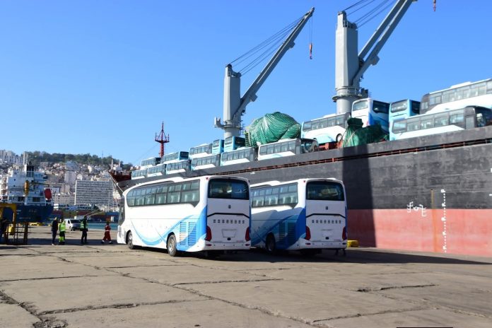 bus-importés-port-alger1