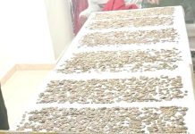 Algérie : un trésor de 10.200 pièces datant de l’époque romaine découvert à Ain Defla