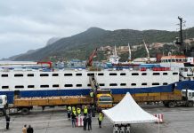 Port de Ténès : arrivée d’une cargaison de 13.489 moutons importés d’Espagne