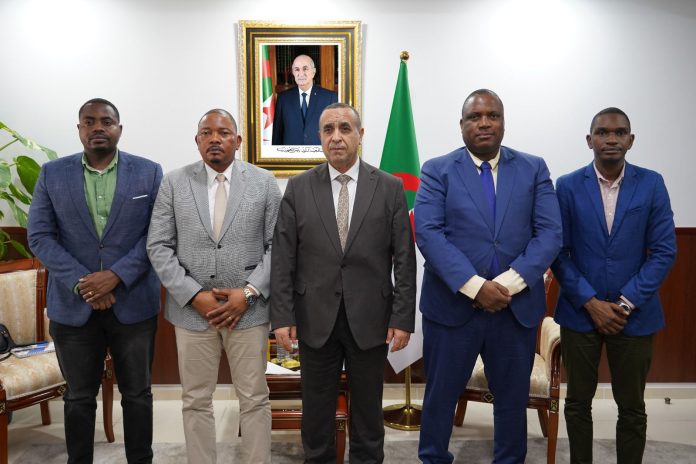 Algérie-Réalisation-Centrale-Electrique-Mozambique