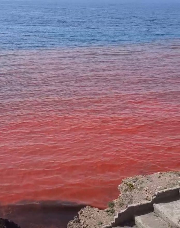 Pollution-Plage-Alger