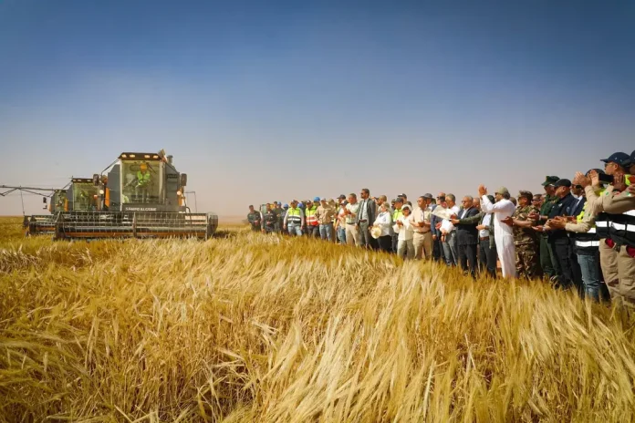 campagne_moisson_orge_projet_baladna-adrar