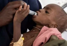 Guerre au Soudan : 19,5 millions de personnes confrontées à une faim aiguë