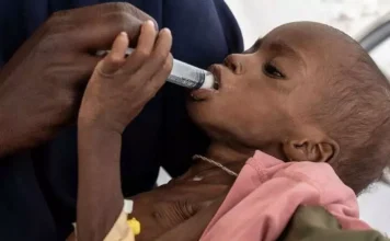 Guerre au Soudan : 19,5 millions de personnes confrontées à une faim aiguë